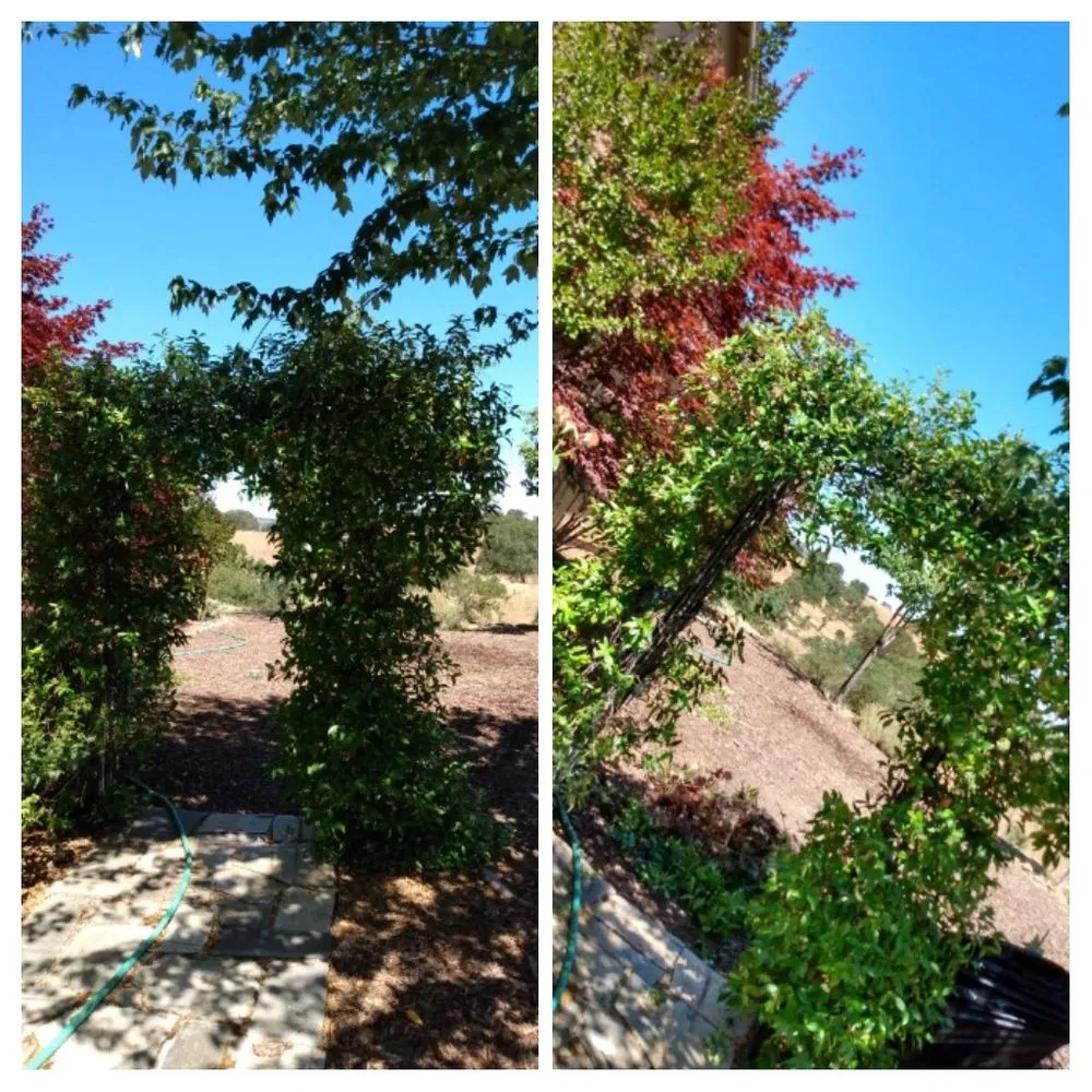 Affordable yard maintenance with custom design in Copperopolis, CA by Table Mountain Maintenance