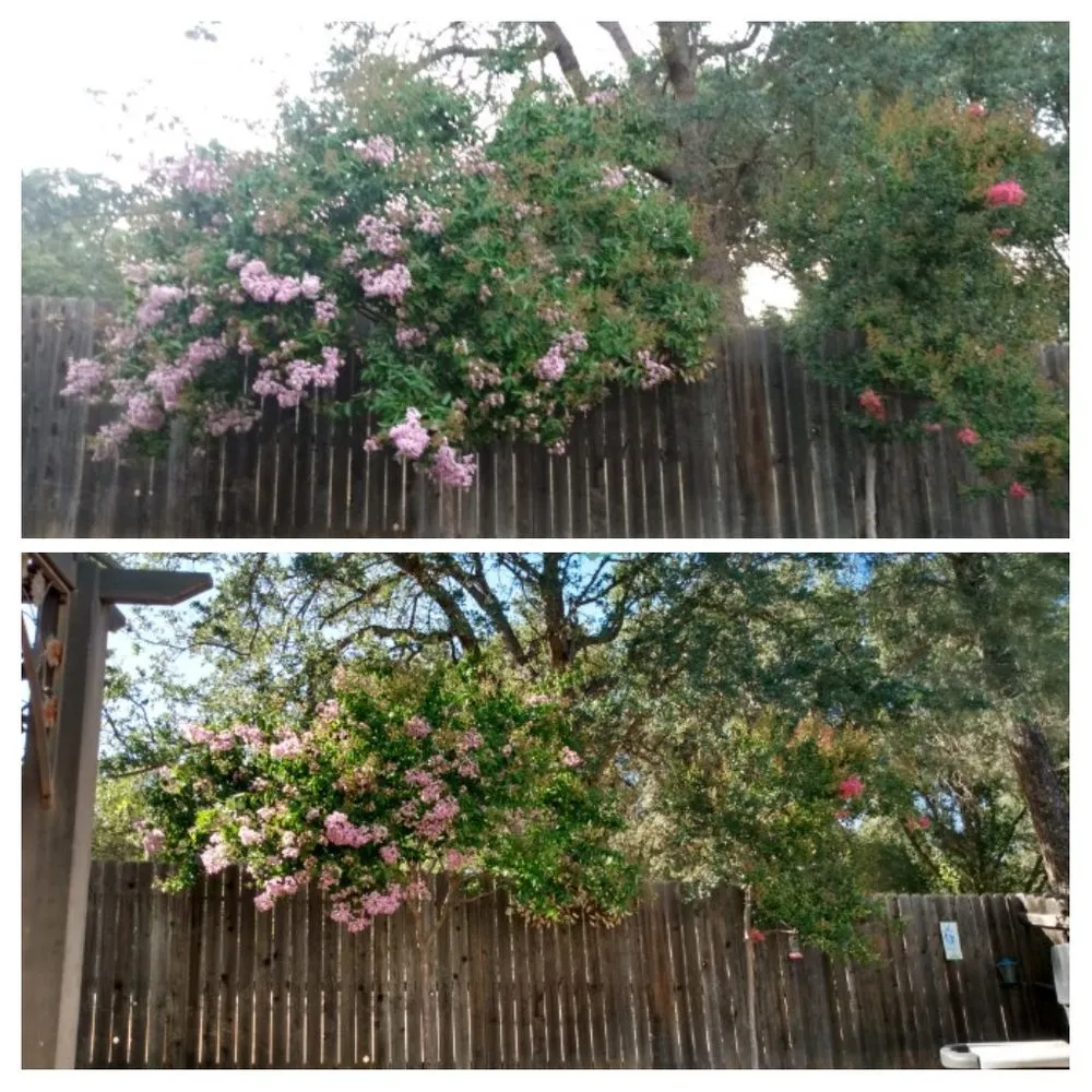 Affordable landscaping services for residential properties in Copperopolis, CA by Table Mountain Maintenance