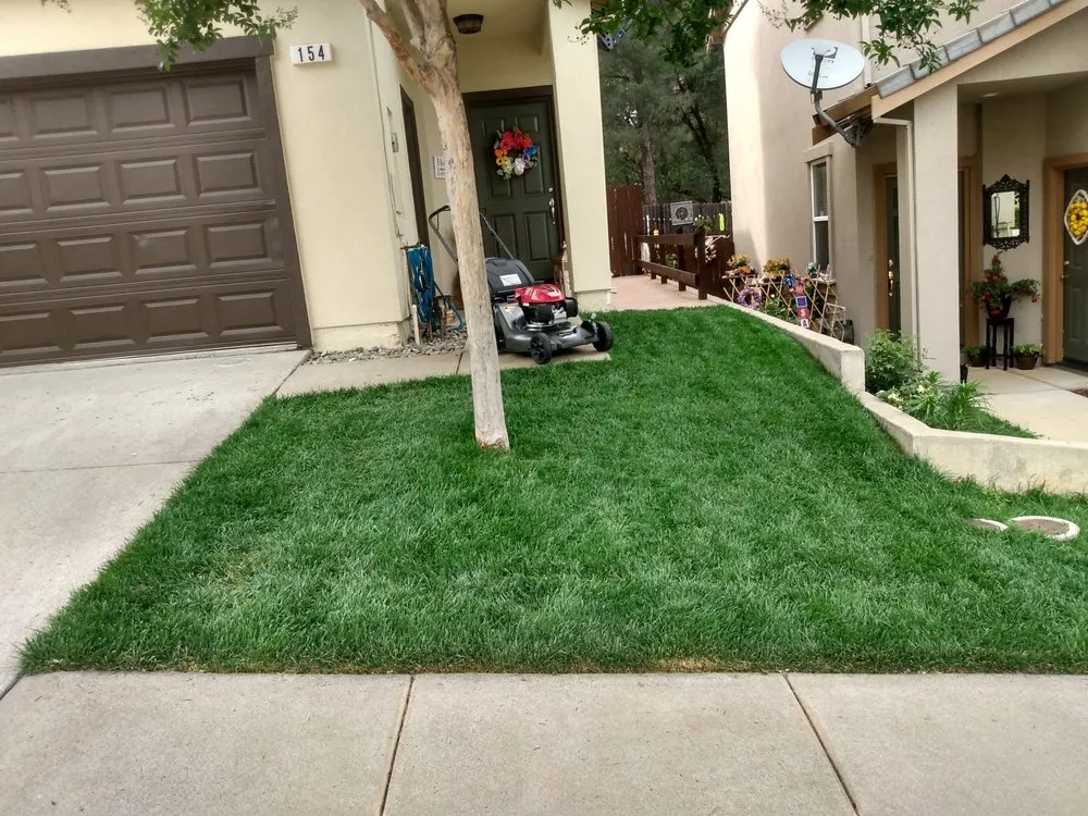 Reliable landscape design experts serving Copperopolis, CA - Table Mountain Maintenance