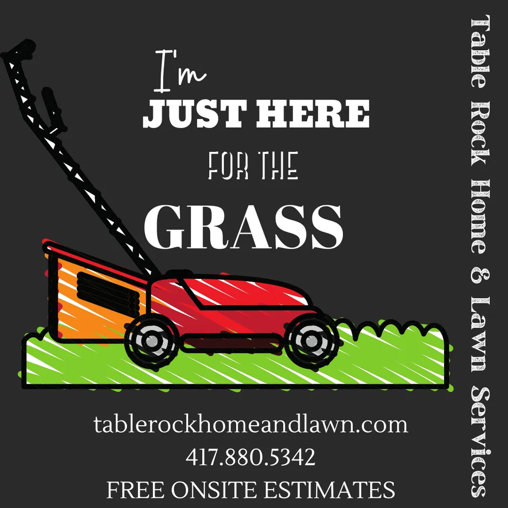 Professional landscaping services experts serving Reeds Spring, MO - Table Rock Home & Lawn Services