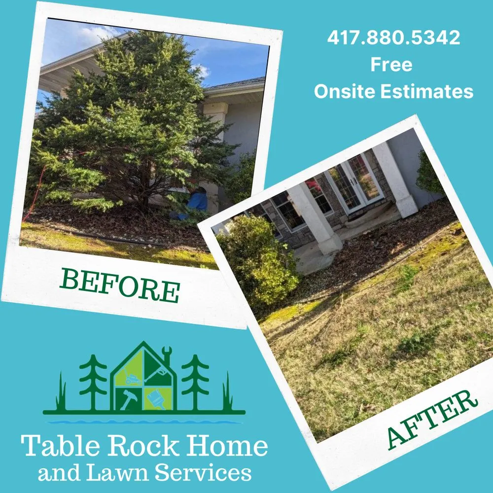 Custom lawn care service in Reeds Spring, MO - Table Rock Home & Lawn Services