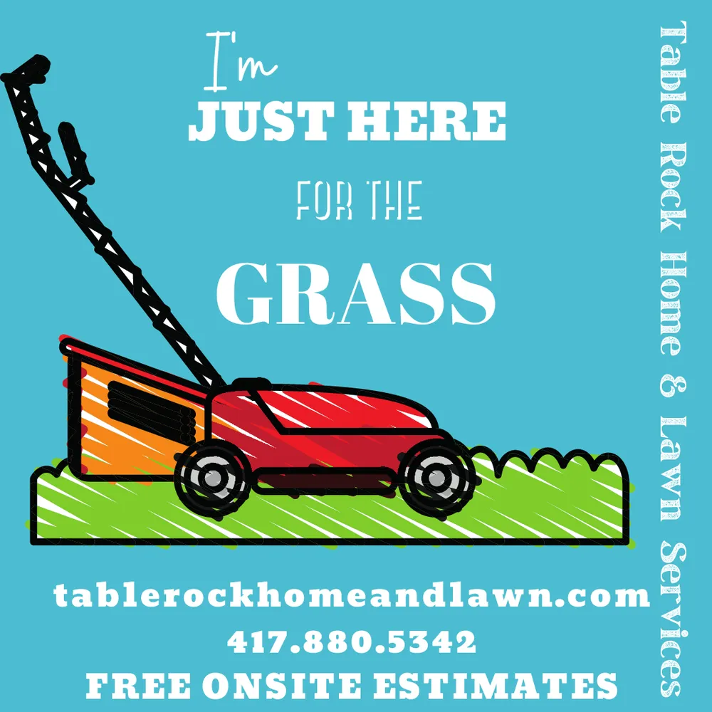 Reliable landscape design in Reeds Spring, MO - Table Rock Home & Lawn Services