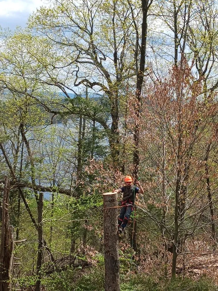 Top-rated residential landscaping in Purdys, NY by Tabora Tree Service & Landscaping