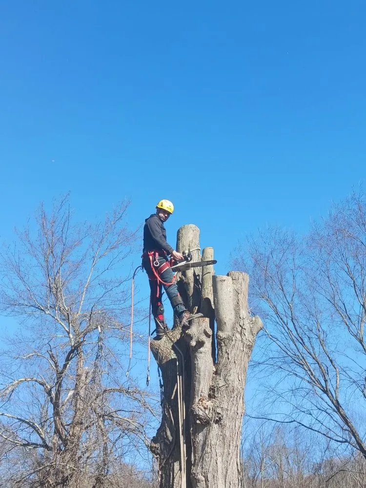 Custom landscape installation in Purdys, NY by Tabora Tree Service & Landscaping
