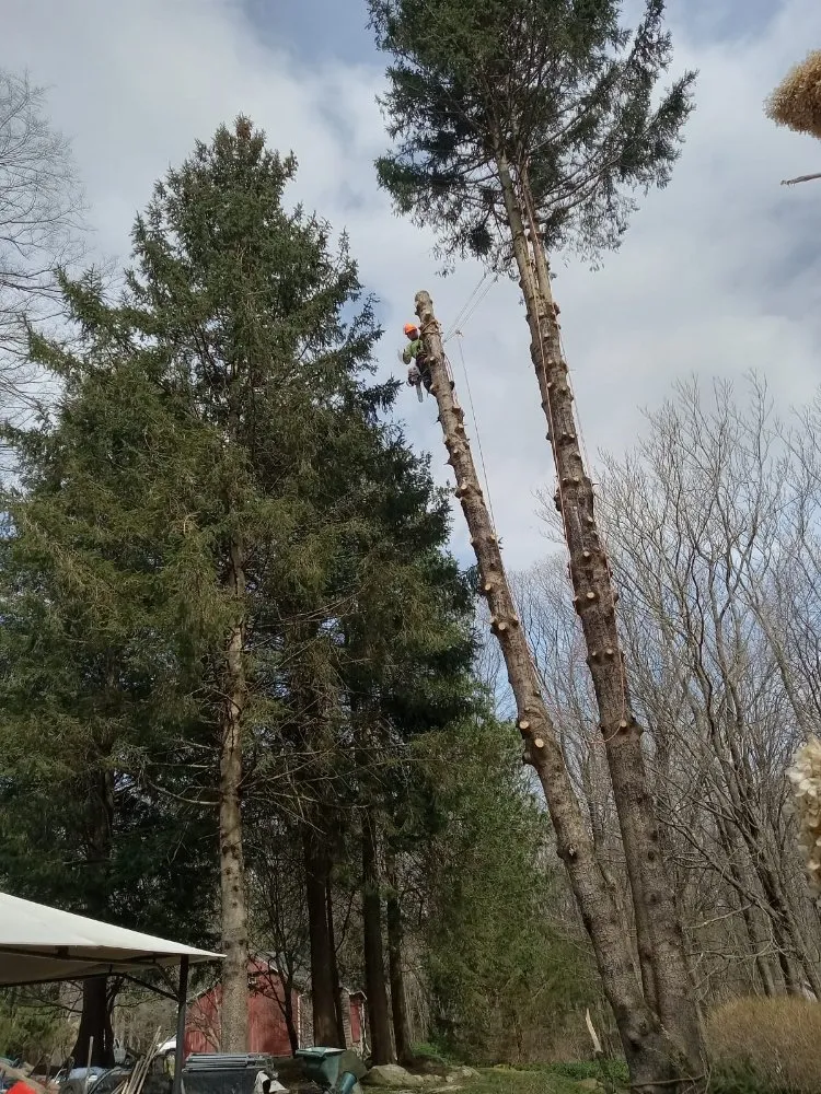 Top-rated garden landscaping in Purdys, NY by Tabora Tree Service & Landscaping