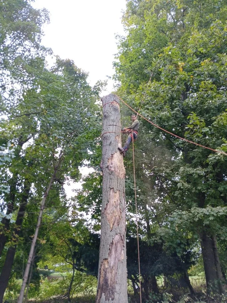 Expert garden landscaping in Purdys, NY by Tabora Tree Service & Landscaping