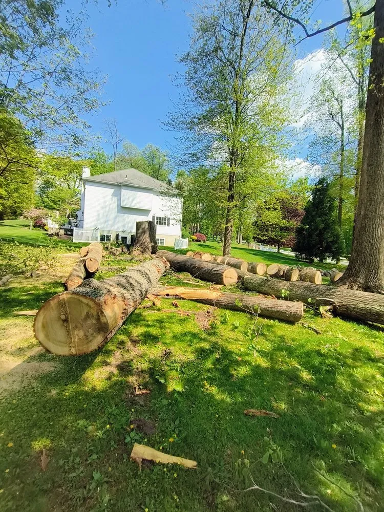 Professional yard cleanup service with custom design in Purdys, NY by Tabora Tree Service & Landscaping