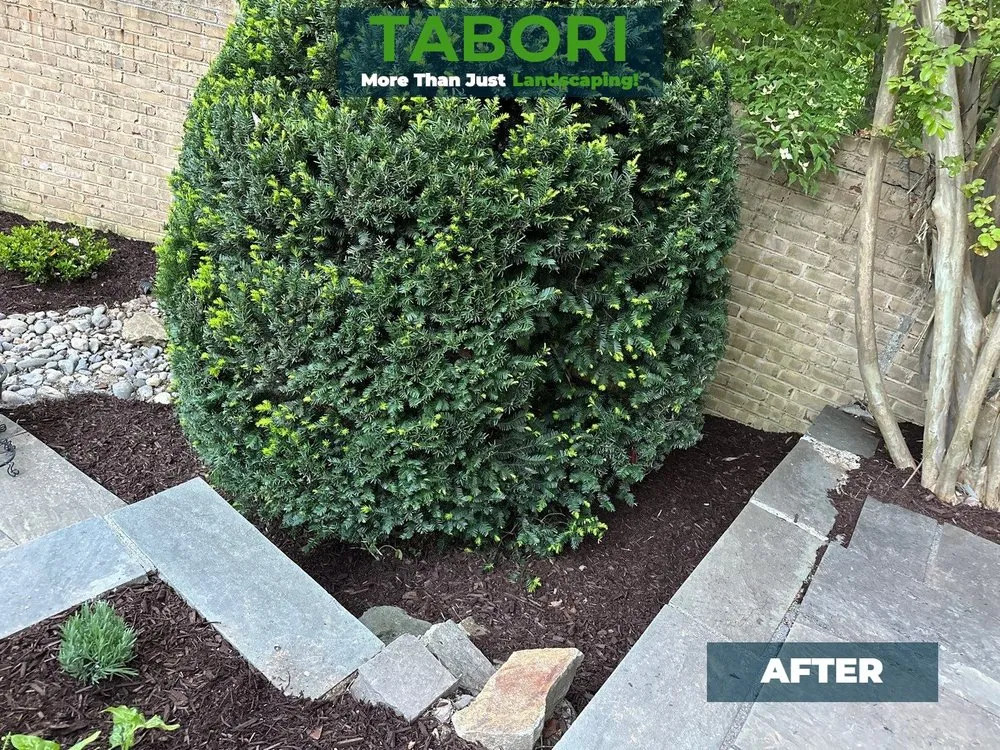 Custom lawn care service with custom design in Potomac, MD by Tabori Landscaping
