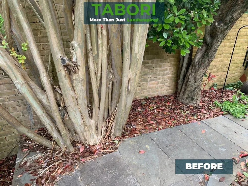 Top-rated landscaping services experts serving Potomac, MD - Tabori Landscaping