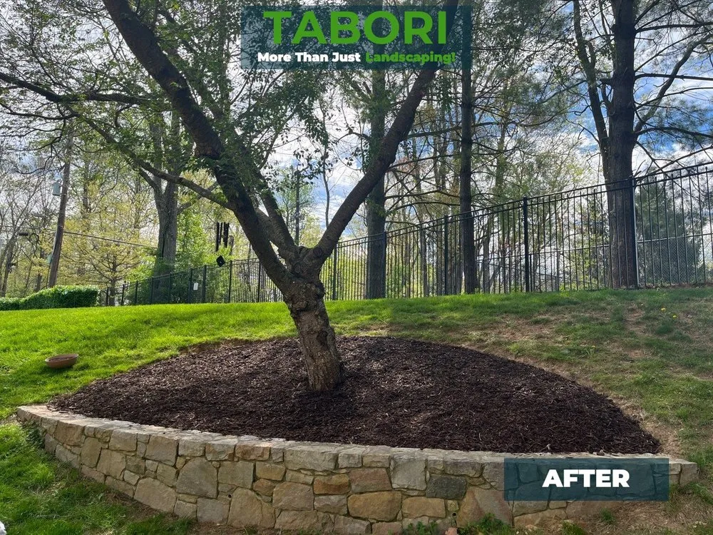 Affordable lawn care service for residential properties in Potomac, MD by Tabori Landscaping