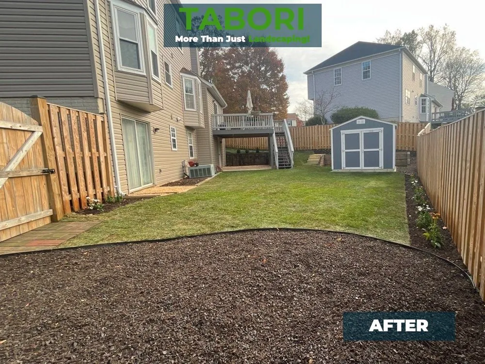 Expert yard cleanup service in Potomac, MD by Tabori Landscaping