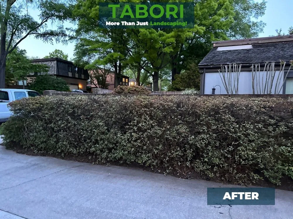 Reliable lawn care service for homes across Potomac, MD - Tabori Landscaping