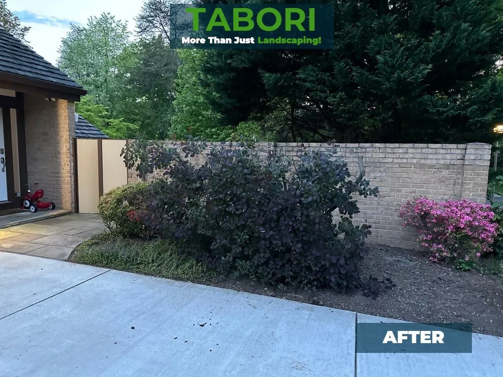 Local landscape design experts serving Potomac, MD - Tabori Landscaping