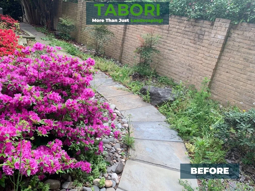 Custom yard maintenance in Potomac, MD by Tabori Landscaping