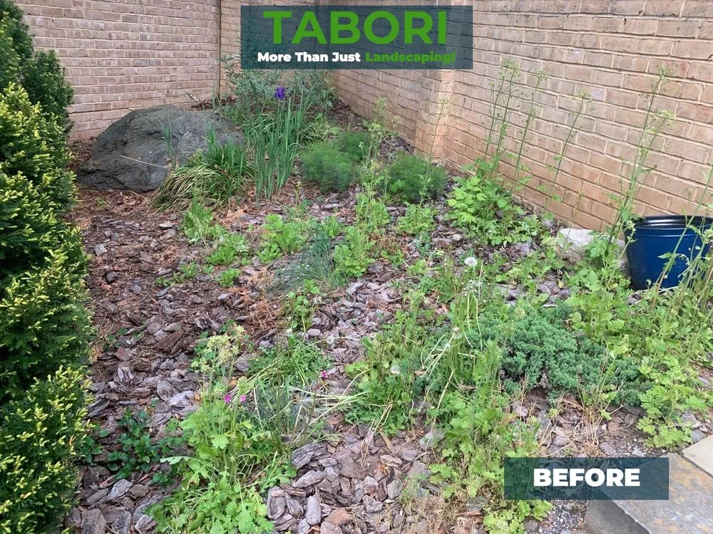 Affordable yard maintenance near you in Potomac, MD by Tabori Landscaping