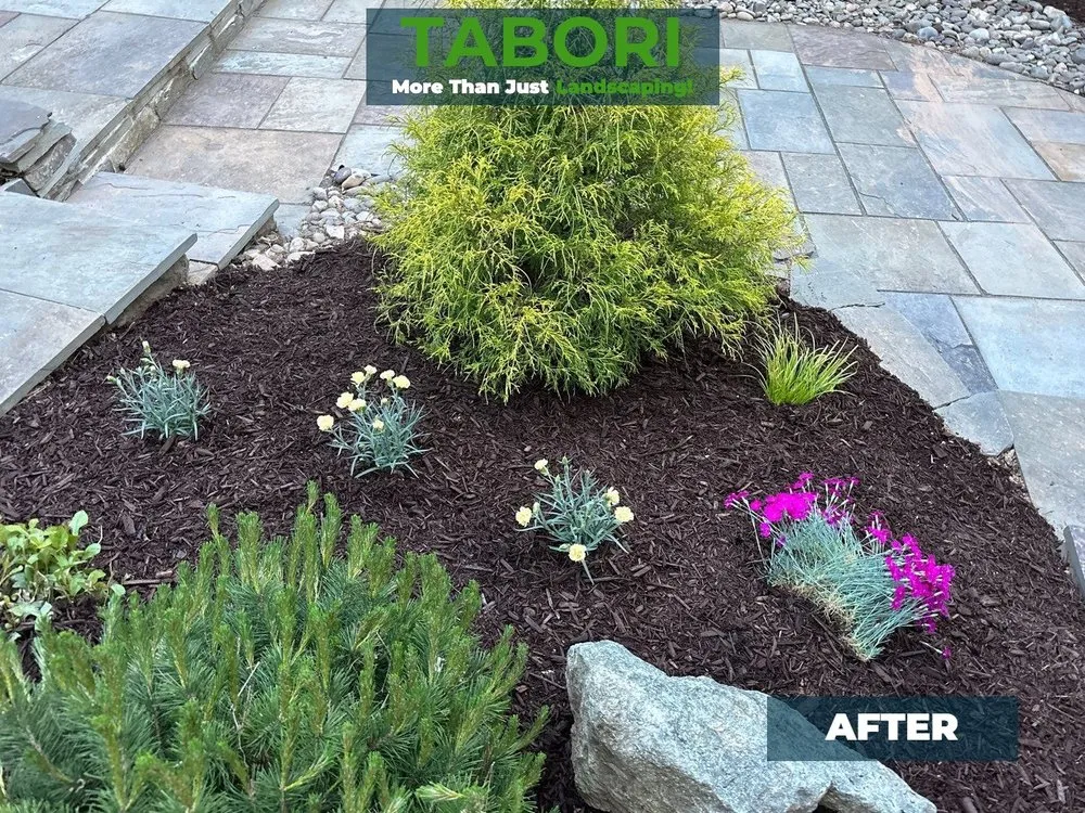 Local yard cleanup service in Potomac, MD by Tabori Landscaping