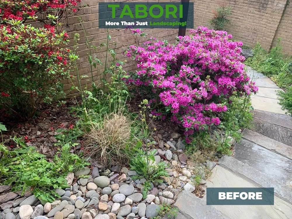 Expert landscaping services in Potomac, MD by Tabori Landscaping