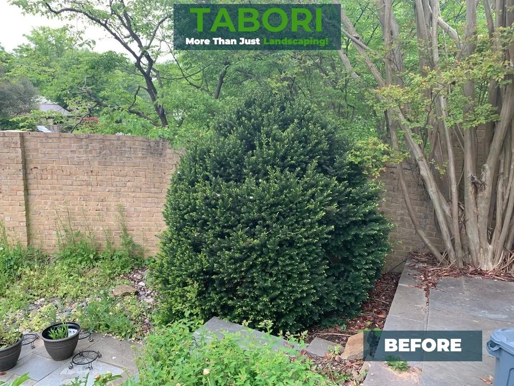 Trusted landscape installation in Potomac, MD by Tabori Landscaping