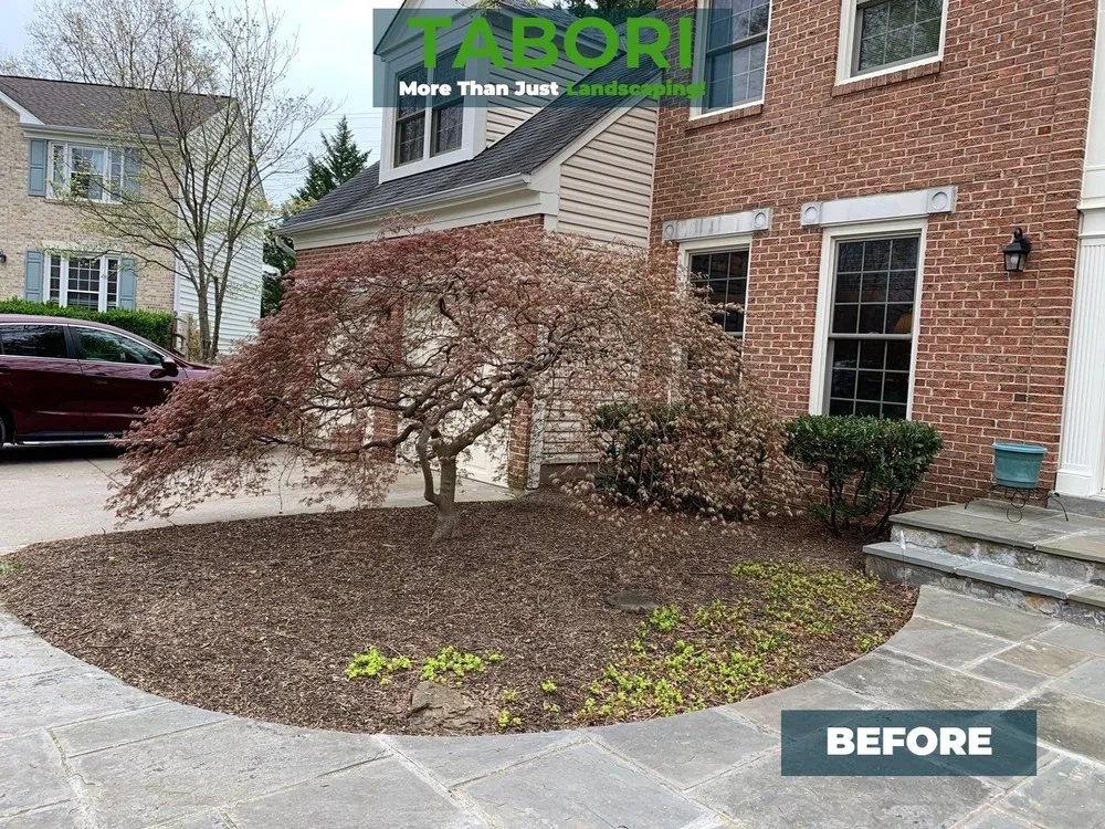 Top-rated landscape design for residential properties in Potomac, MD by Tabori Landscaping