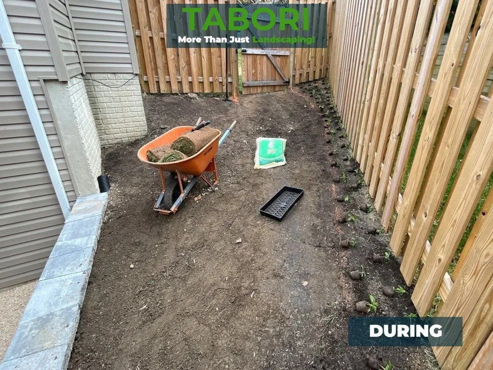 Trusted lawn care service in Potomac, MD by Tabori Landscaping