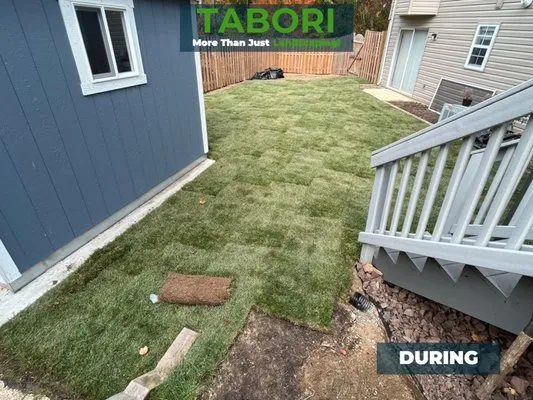 Tabori Landscaping