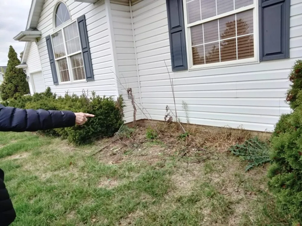 Trusted landscaping services with custom design across Anamosa, IA - Tab's Crew Enterprises