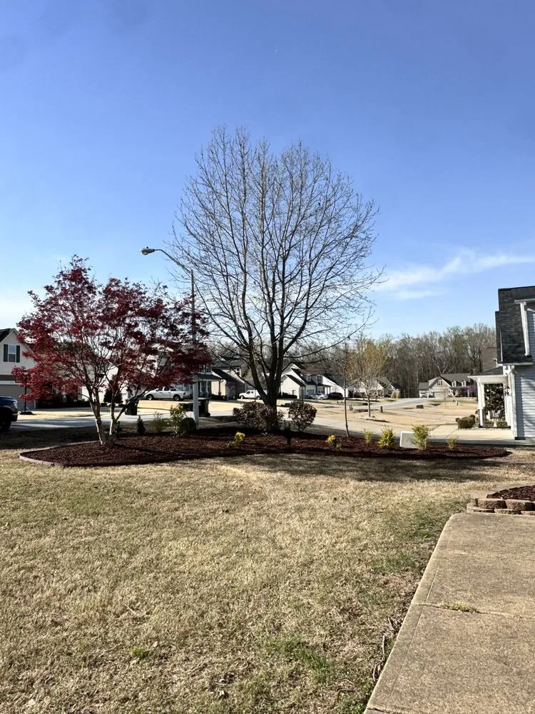 Trusted landscape design experts serving Clayton, NC - Tac Lawn & Landscapes