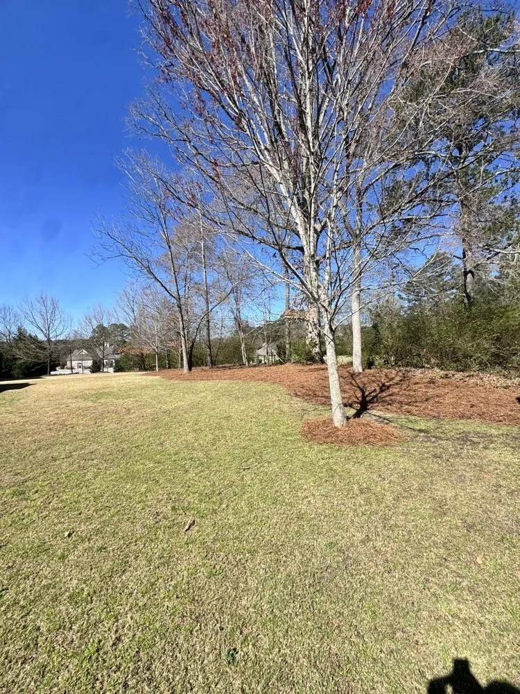 Custom yard maintenance with custom design across Clayton, NC - Tac Lawn & Landscapes