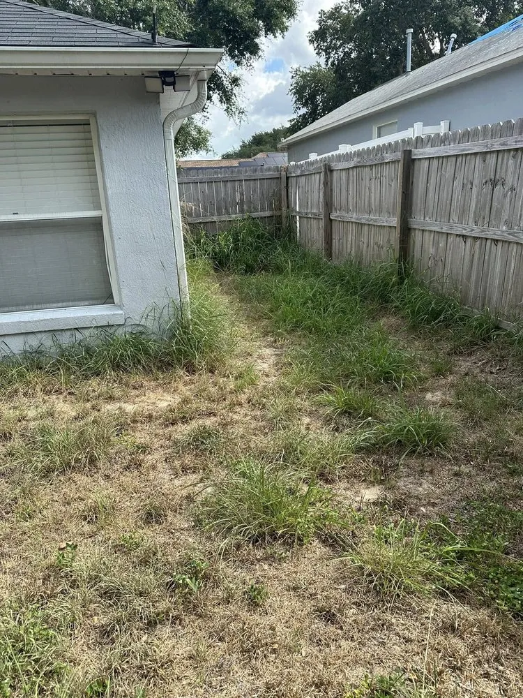 Trusted residential landscaping in Clermont, FL by Tacey's Lawn Care