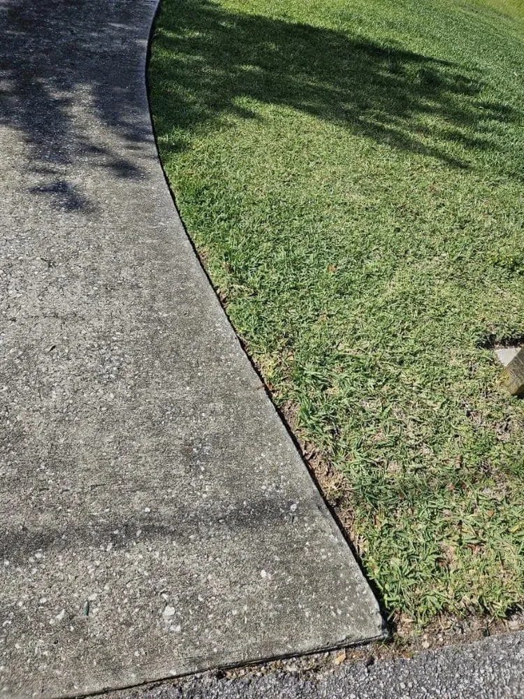 Professional lawn mowing service in Clermont, FL - Tacey's Lawn Care