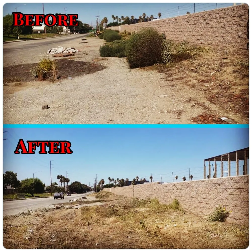 Top-rated lawn care service in Murrieta, CA - Tackett Tractor Services