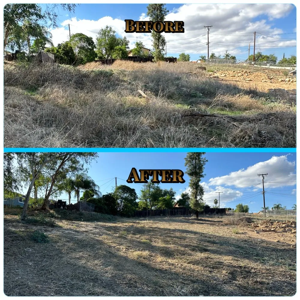 Local yard cleanup service in Murrieta, CA - Tackett Tractor Services