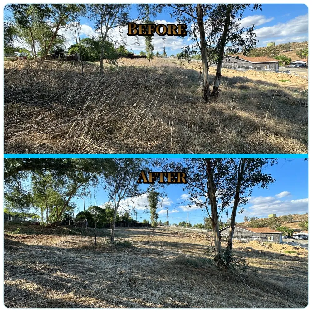 Reliable garden landscaping for year-round maintenance across Murrieta, CA - Tackett Tractor Services