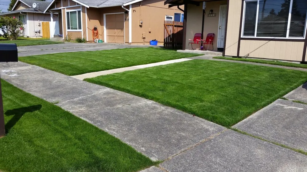 Local lawn care service in Poulsbo, WA - Tacoma Hydroseeding