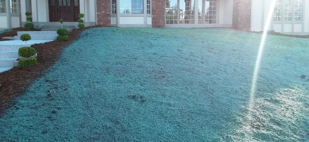 Top-rated lawn mowing service in Tacoma, WA - Tacoma Hydroseeding