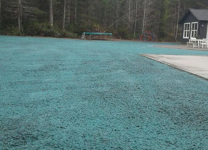Custom yard cleanup service for outdoor upgrades across Tacoma, WA - Tacoma Hydroseeding
