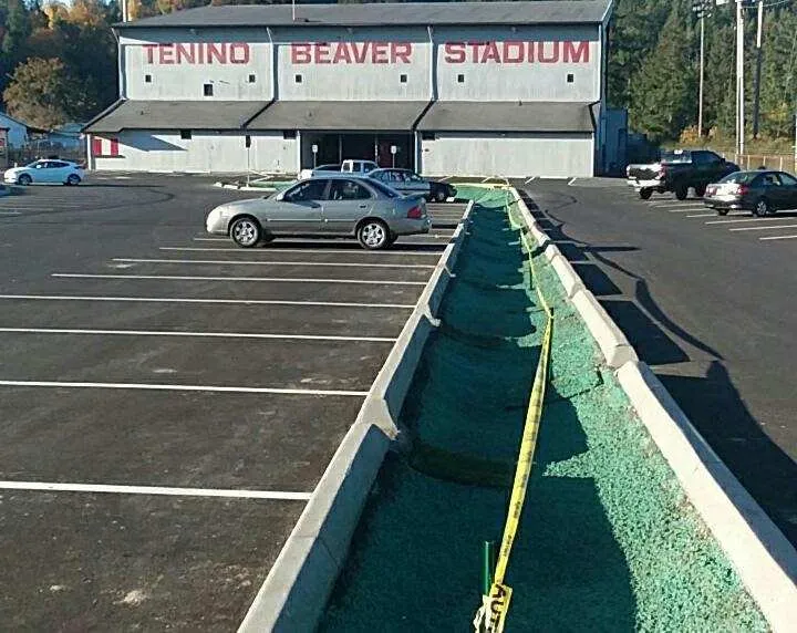 Local landscaping services in Tacoma, WA - Tacoma Hydroseeding