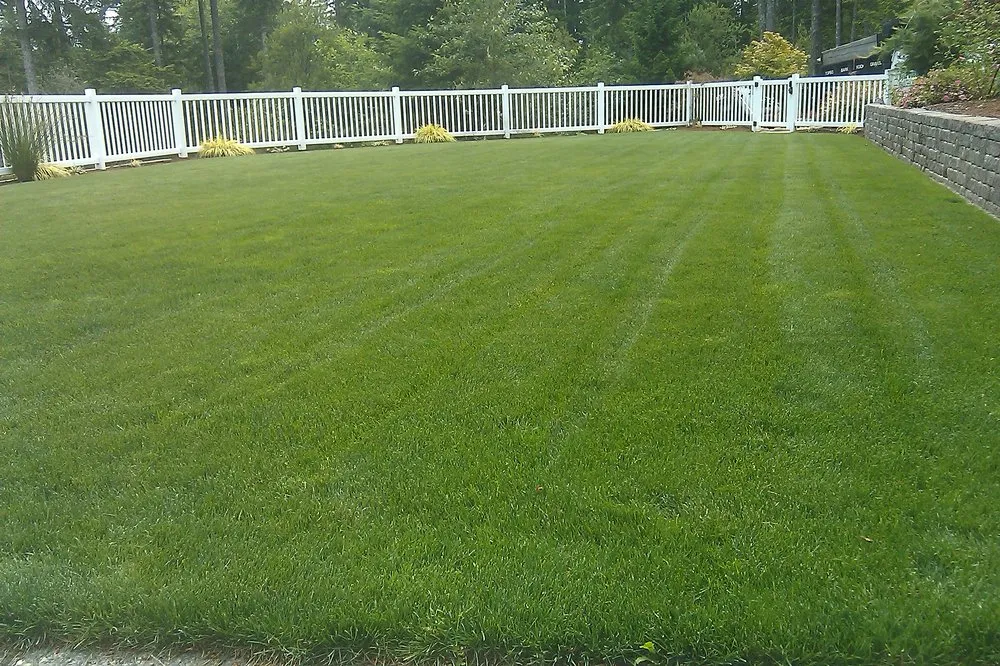 Reliable yard cleanup service in Tacoma, WA - Tacoma Hydroseeding