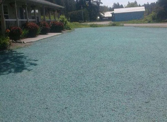 Professional outdoor landscaping with custom design in Tacoma, WA by Tacoma Hydroseeding