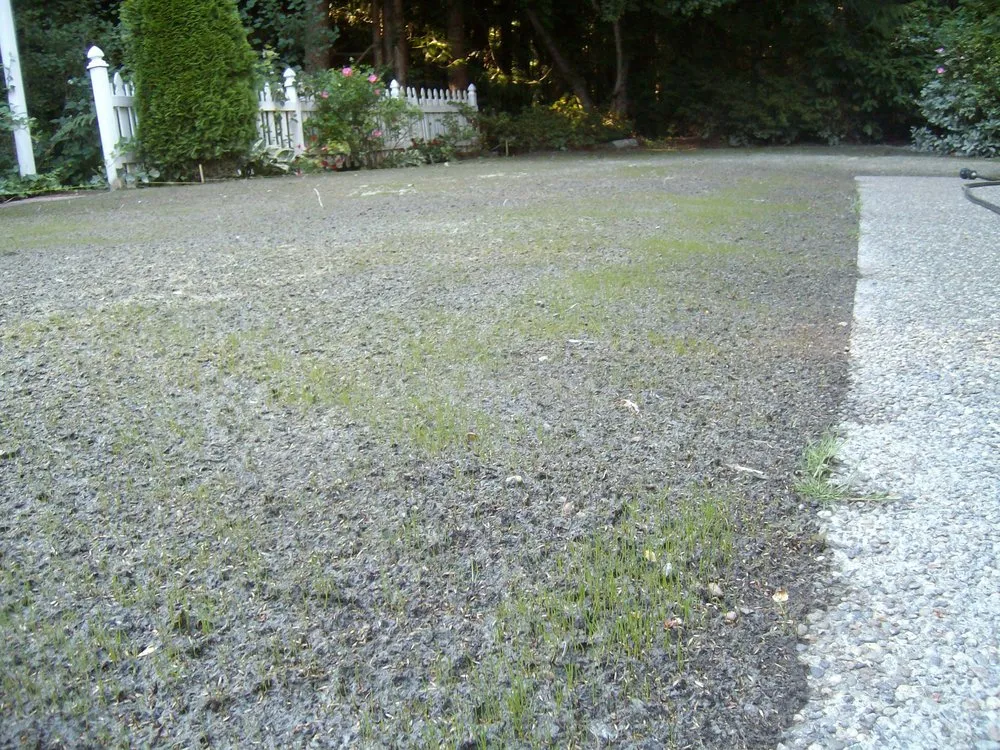 Trusted garden landscaping in Tacoma, WA - Tacoma Hydroseeding