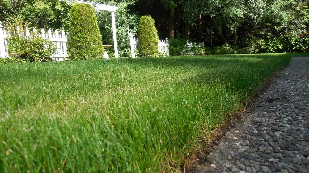 Professional landscape installation in Tacoma, WA by Tacoma Hydroseeding