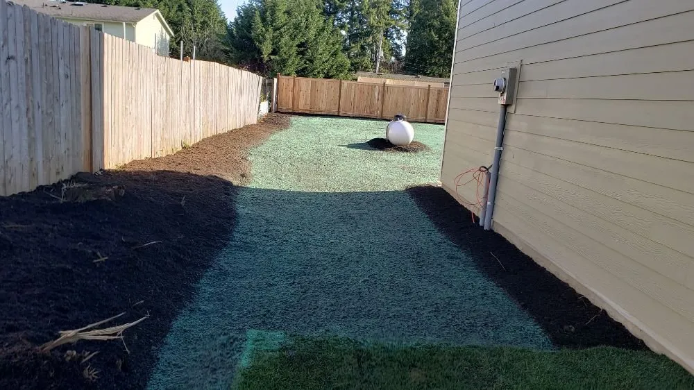 Professional lawn care service experts serving Tacoma, WA - Tacoma Hydroseeding