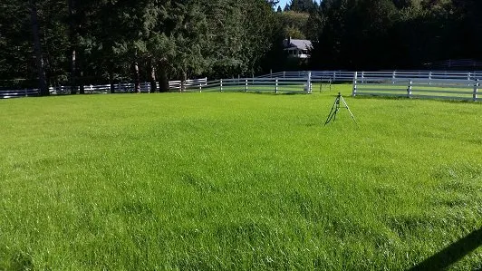 Affordable landscaping services in Tacoma, WA - Tacoma Hydroseeding