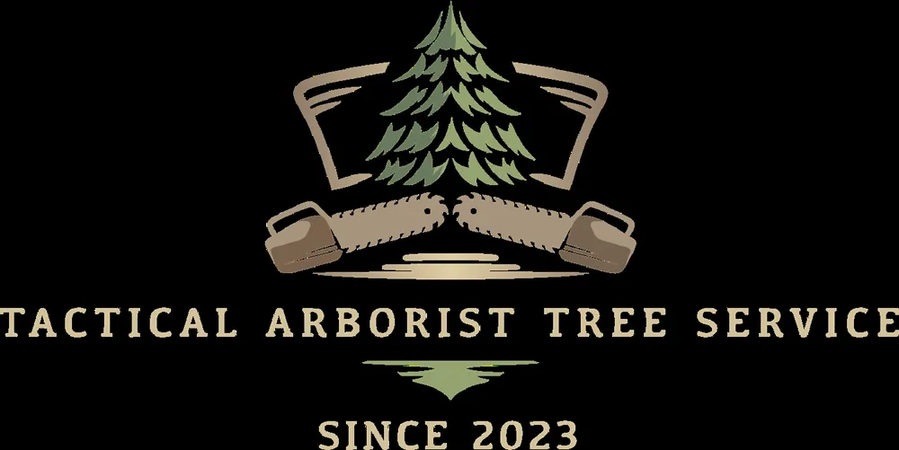 Top-rated outdoor landscaping for residential properties in Stafford, VA by Tactical Arborist Tree Service