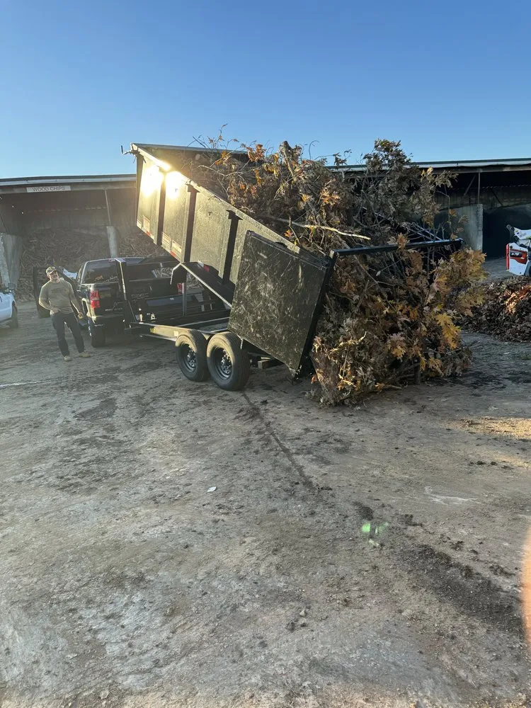 Top-rated yard cleanup service experts serving Stafford, VA - Tactical Arborist Tree Service