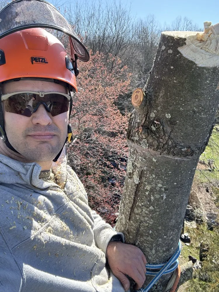Local residential landscaping for year-round maintenance in Stafford, VA by Tactical Arborist Tree Service