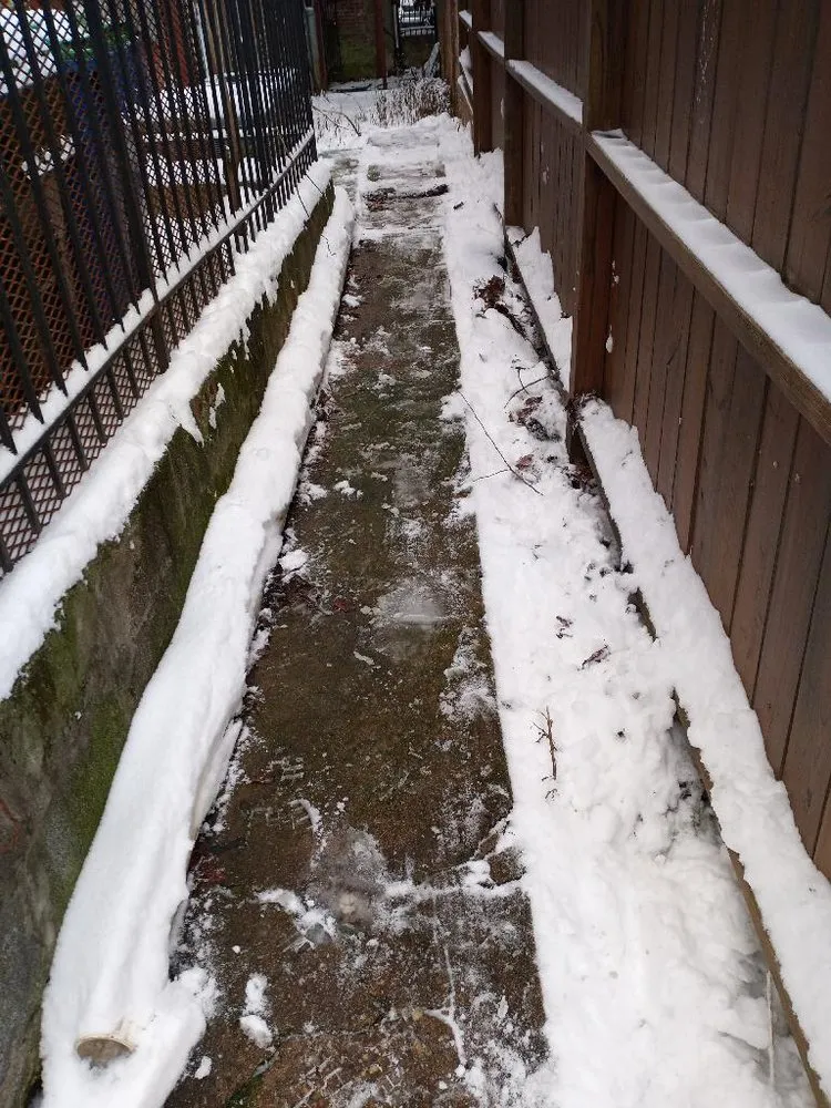 Expert residential landscaping for beautiful yards in Stafford, VA by Tactical Arborist Tree Service