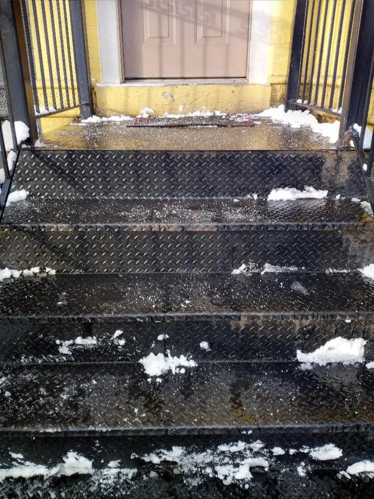 Professional yard cleanup service for residential properties across Stafford, VA - Tactical Arborist Tree Service