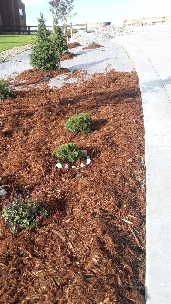 Expert yard maintenance for homes across La Salle, CO - Tactical Grounds Lawn Care