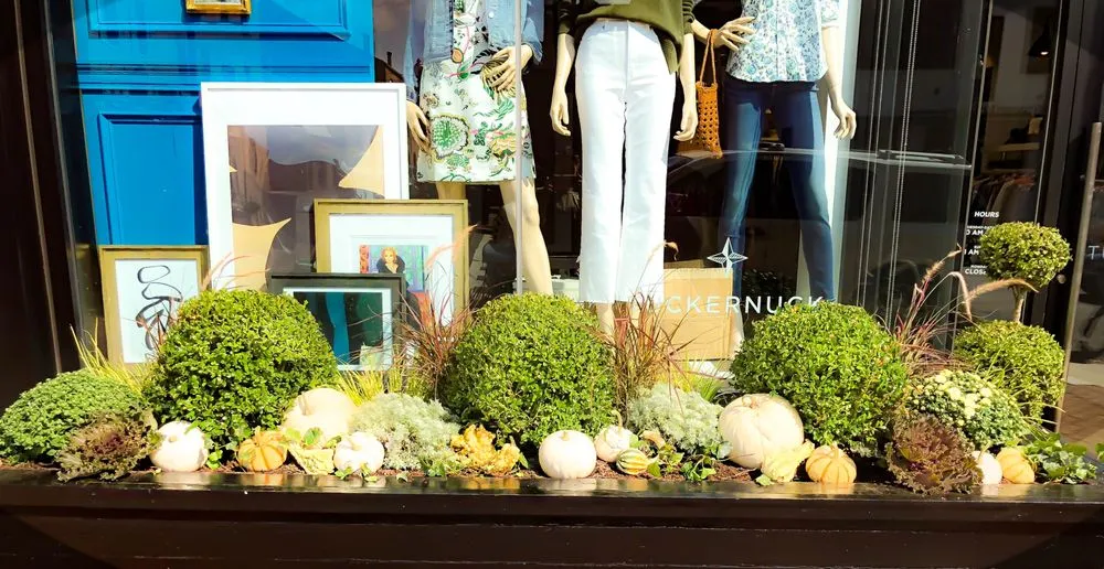 Trusted landscape design for residential properties across Alexandria, VA - Tactical Land Care